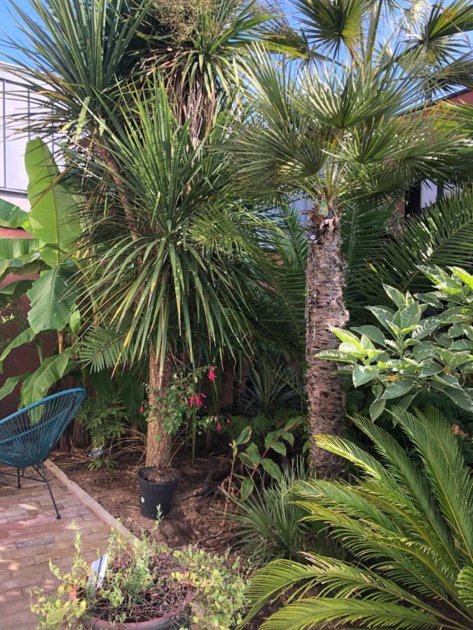 La Petite Maison Dans La Jungle Chartres-de-Bretagne Dış mekan fotoğraf